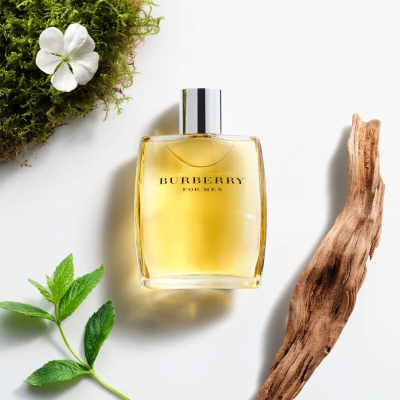 Burberry for Men Eau de Toilette pentru bărbați 100 ml