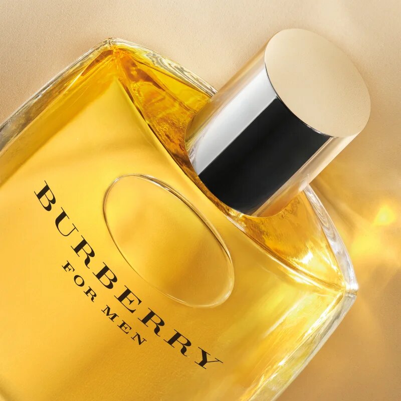 Burberry for Men Eau de Toilette pentru bărbați 100 ml