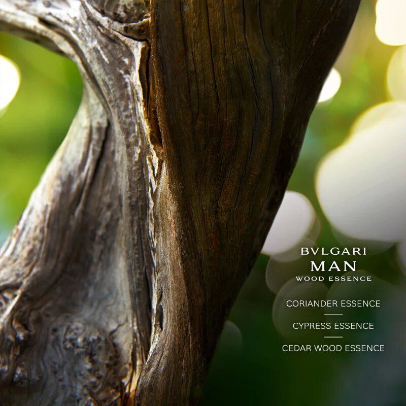 BVLGARI Man Wood Essence Eau de Parfum reincarcabil pentru bărbați 60 ml