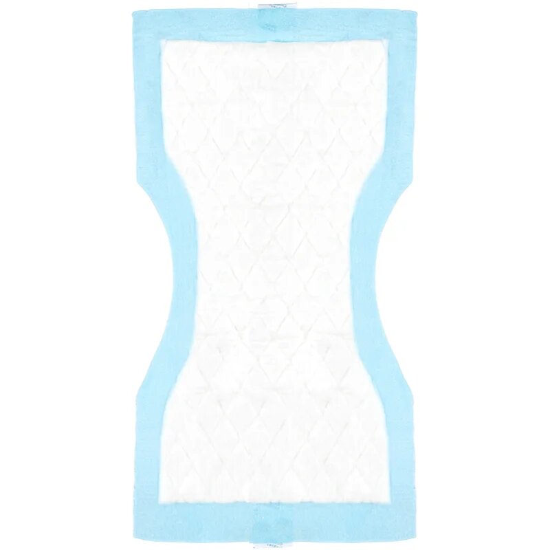 Canpol babies Postpartum Pads absorbante postnatale Super Absorbent 10 buc