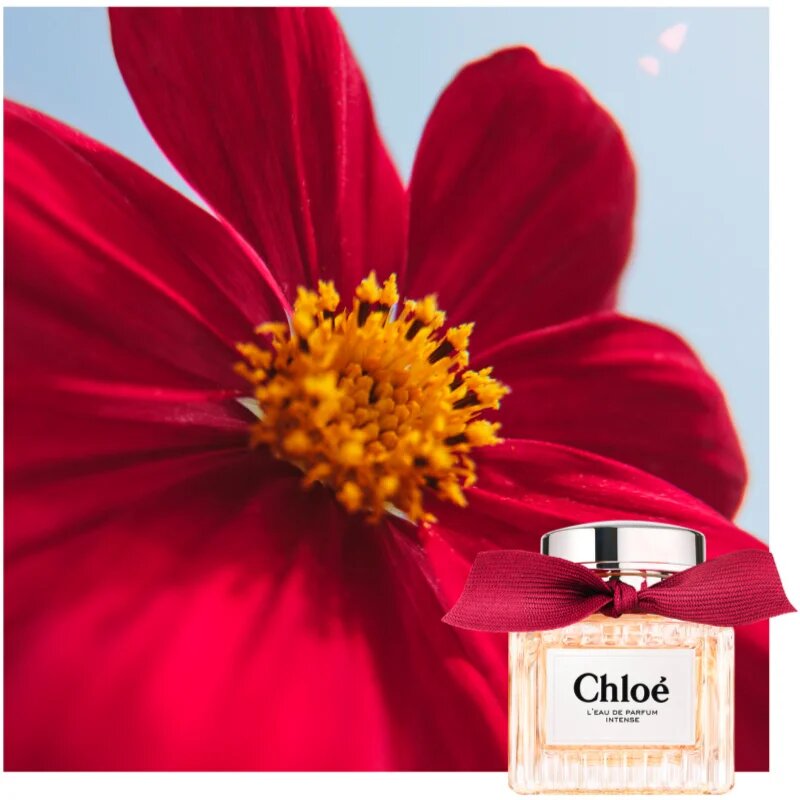 Chloé L'Eau de Parfum Intense apă parfumată intense reincarcabil pentru femei 50 ml