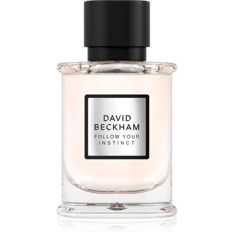 David Beckham Follow Your Instinct Eau de Parfum pentru bărbați 50 ml