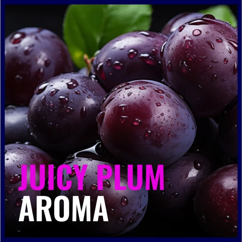 Dermacol Aroma Moment Plummy Monster balsam de buze 4.8 g