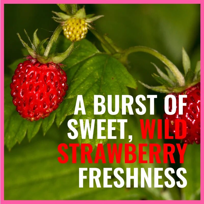 Dermacol Aroma Moment Wild Strawberries gel de dus racoritor 30 ml