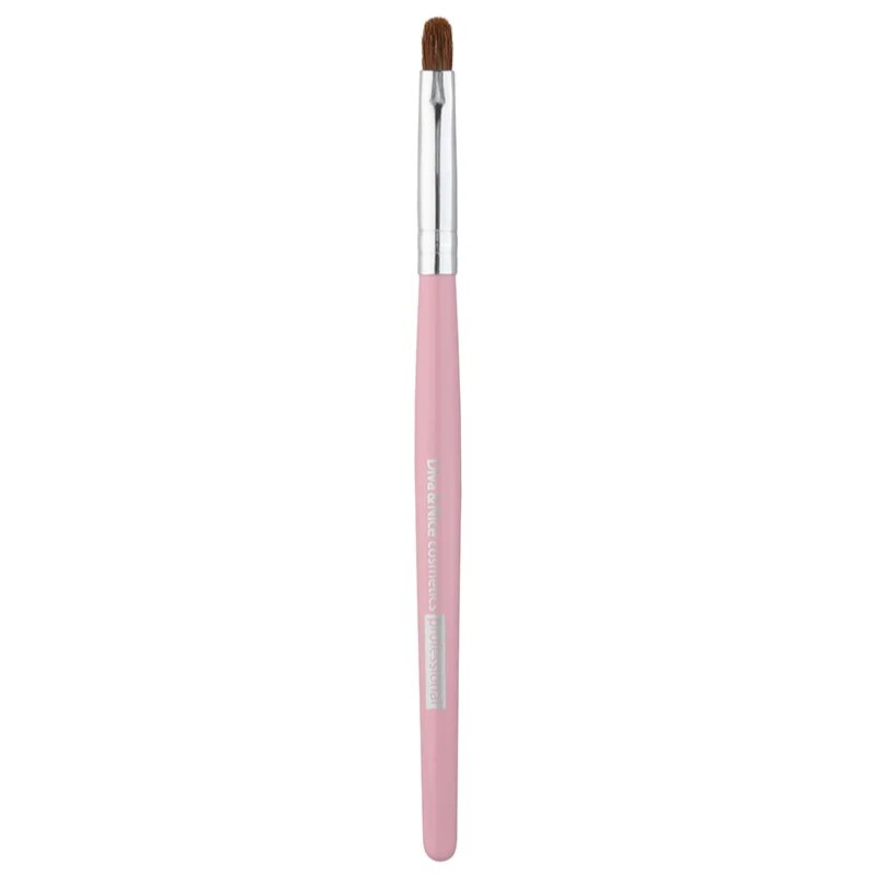 Diva & Nice Cosmetics Accessories Brush pensula pentru buze MAX 491/5 1 buc