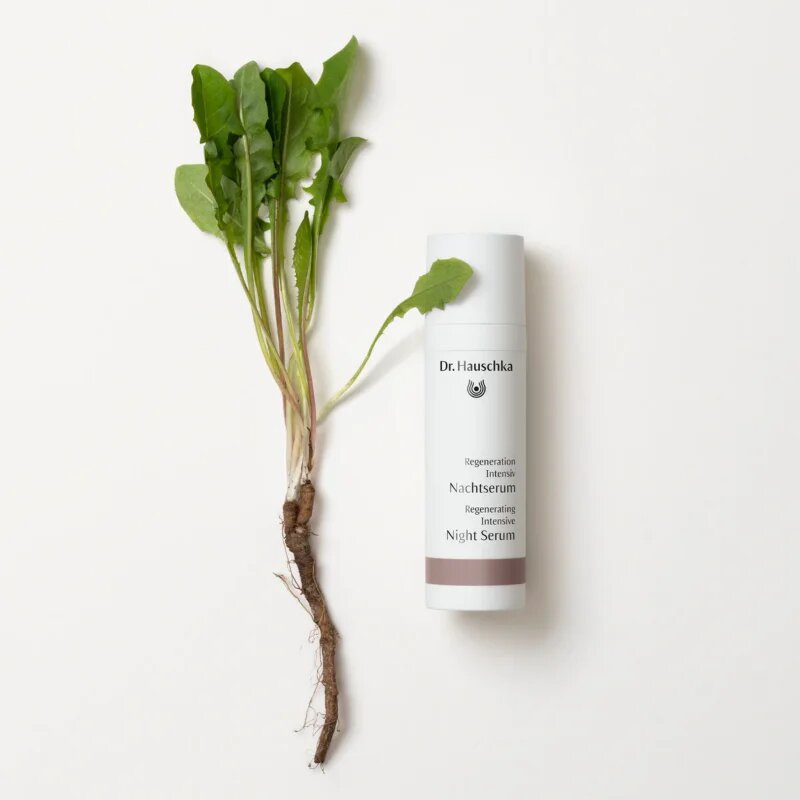 Dr. Hauschka Regeneration Intensive Night Serum ser de noapte antirid 30 ml