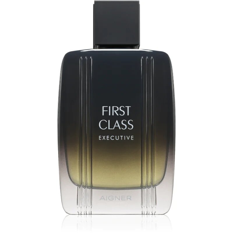 Etienne Aigner First Class Executive Eau de Toilette pentru bărbați 100 ml