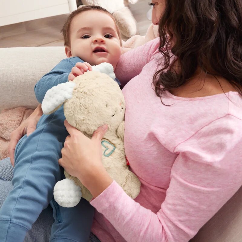 Fisher-Price Soothe & Settle Bunny jucărie de pluș cu melodie 1 buc