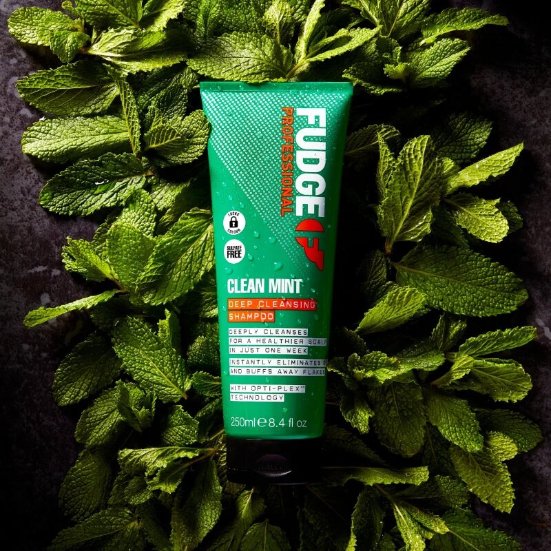 Fudge Clean Mint Shampoo șampon pentru păr gras 250 ml