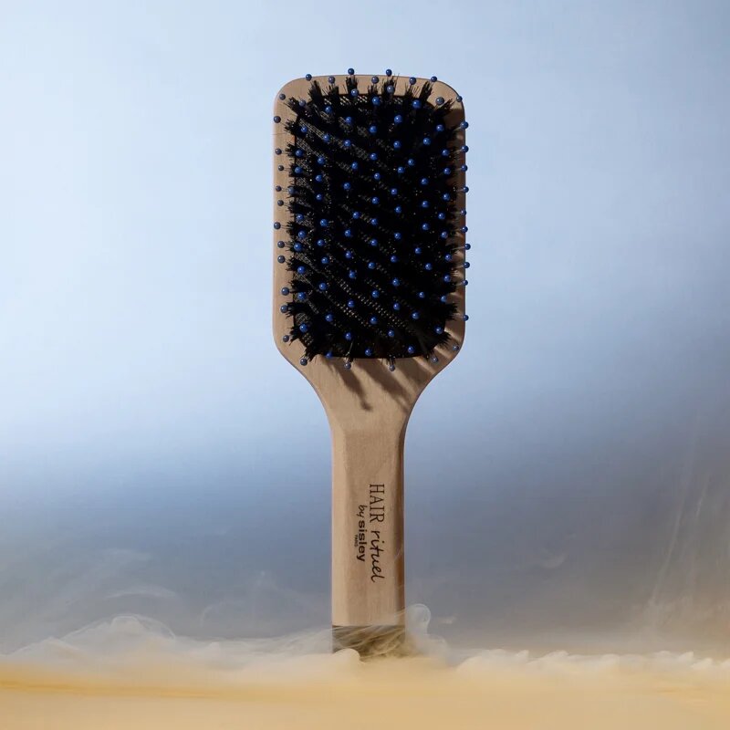Hair Rituel by Sisley The Pocket Brush Radiance & Softness perie pentru un par stralucitor si catifelat 1 buc