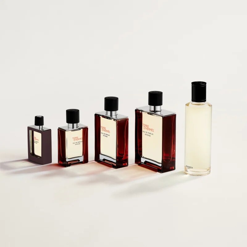 HERMÈS Terre d’Hermès Eau de Parfum Intense apă parfumată intense pentru bărbați 30 ml