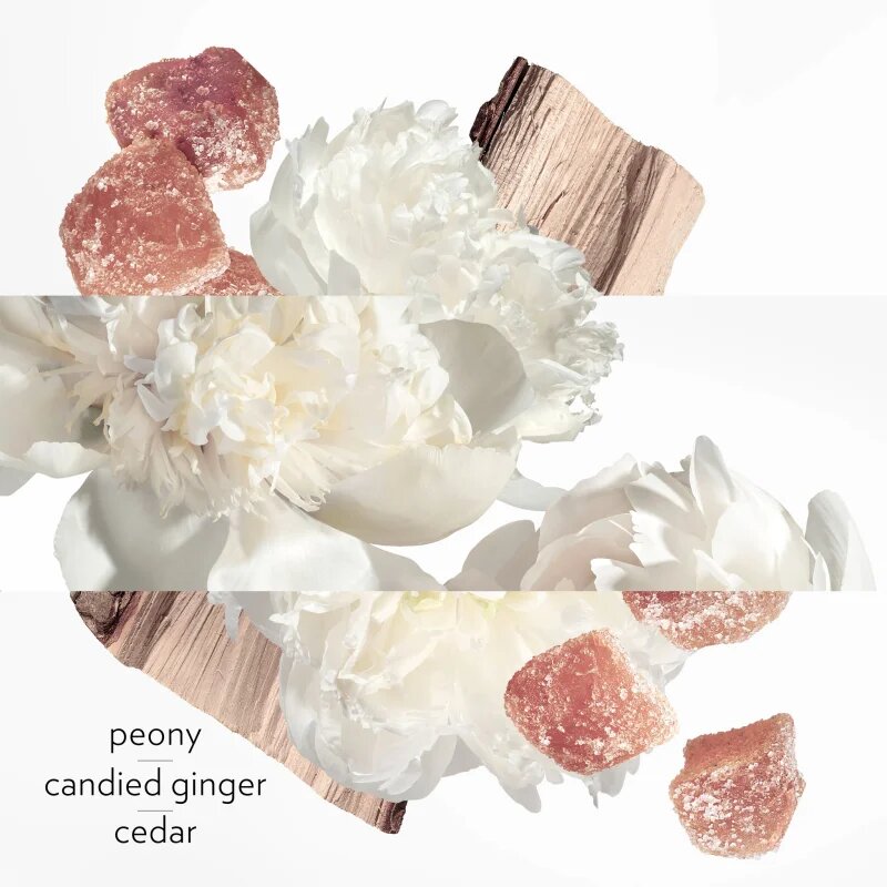 HERMÈS Twilly d’Hermès Eau Ginger Eau de Parfum pentru femei 85 ml