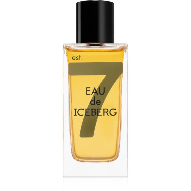 Iceberg Eau de Amber Eau de Toilette pentru bărbați 100 ml