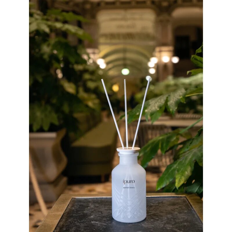 ipuro Exclusive Santal Blanc difuzor de aroma 240 ml