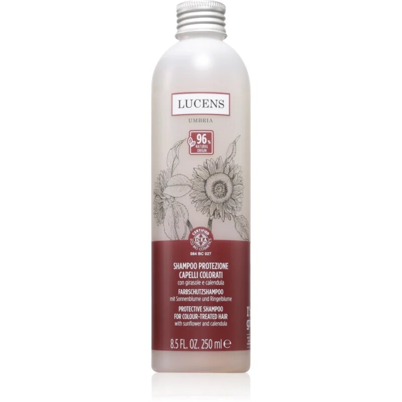 Kemon Group Shampoo Protezione șampon pentru protecția culorii 250 ml