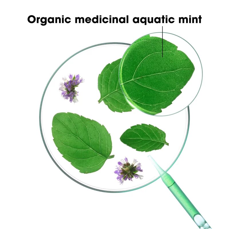 Klorane Organic Mint șampon detoxifiant pentru curățare pentru par normal 200 ml