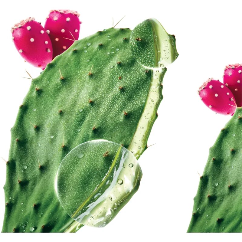 Klorane Prickly Pear șampon intens hidratant 200 ml