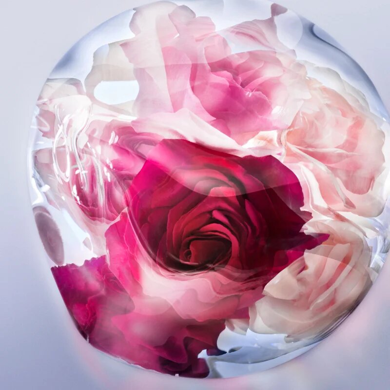 Lancôme La Vie Est Belle Rose Extraordinaire Eau de Parfum pentru femei 50 ml