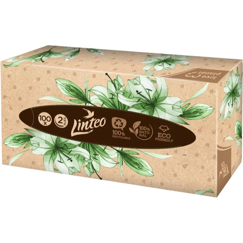 Linteo Paper Tissues Two-ply Paper 100 pcs per box batiste de hârtie 100 buc