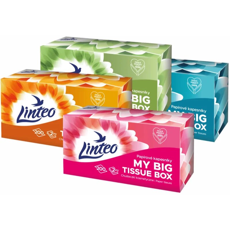 Linteo Paper Tissues Two-ply Paper 200 pcs per box batiste de hârtie 200 buc