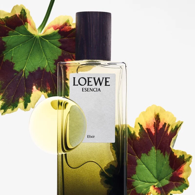 Loewe Esencia Elixir parfum pentru bărbați 50 ml