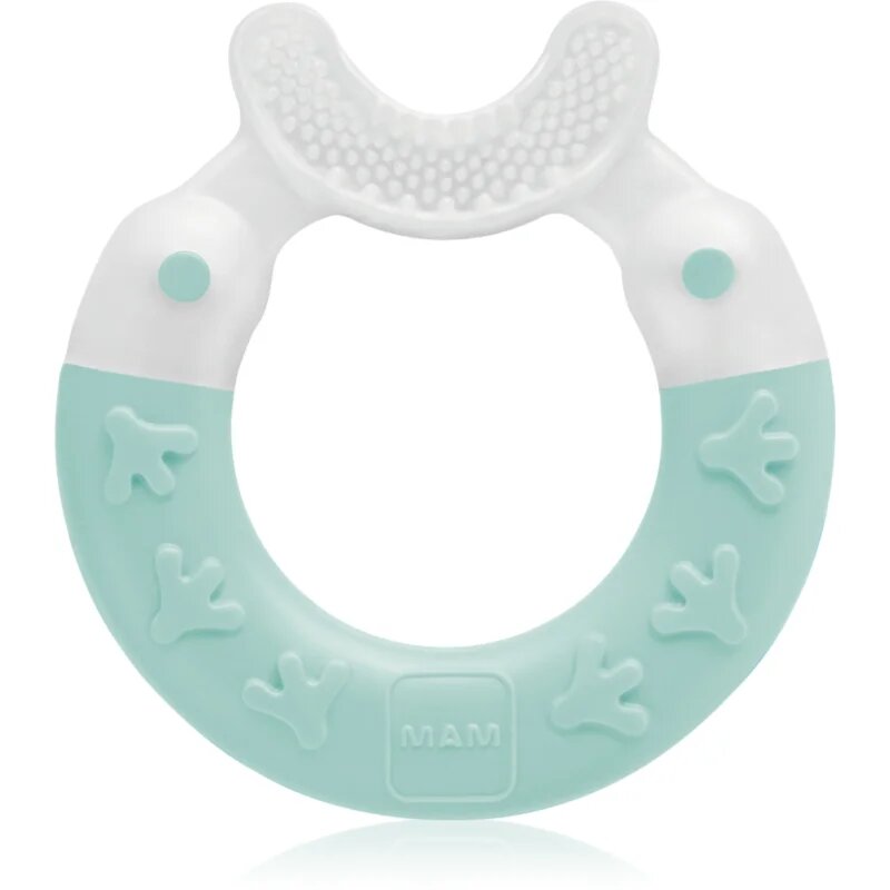 Bite & Brush jucărie pentru dentiție 3m+ Turquoise 1 buc