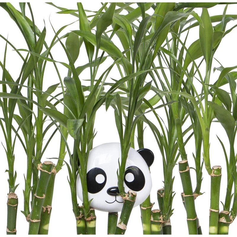 Melii Snack Container caserolă de mâncare Panda 232 ml