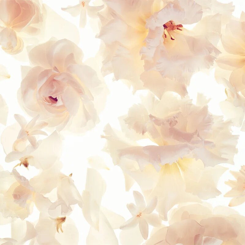 Michael Kors Gorgeous! Eau de Parfum pentru femei 50 ml