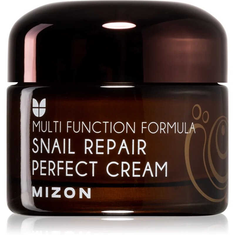 Multi Function Formula Snail cremă pentru față cu extract de melc 60% 50 ml