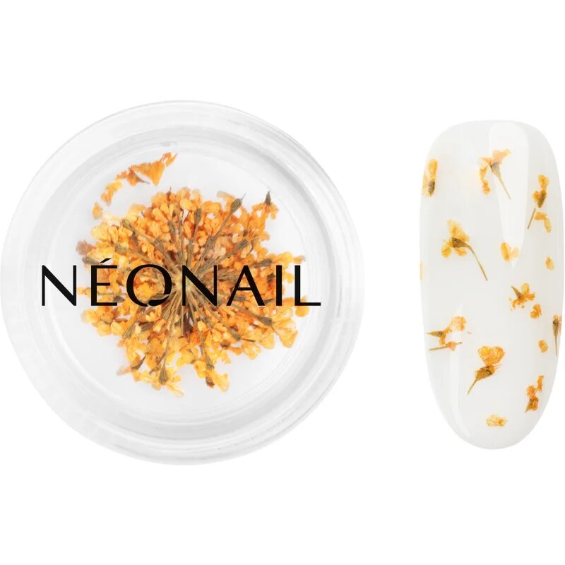 NeoNail Dried Flowers flori uscate pentru unghii culoare Orange 1 buc
