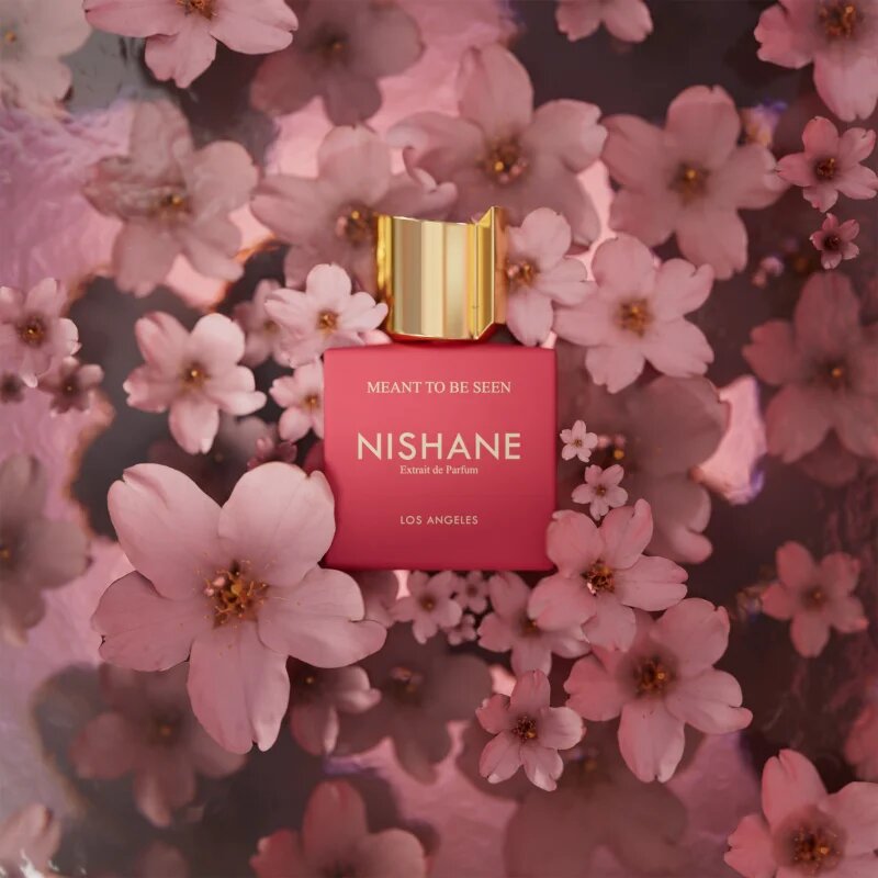 Nishane Meant to Be Seen extract de parfum unisex 100 ml