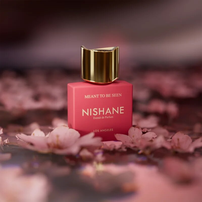 Nishane Meant to Be Seen extract de parfum unisex 50 ml