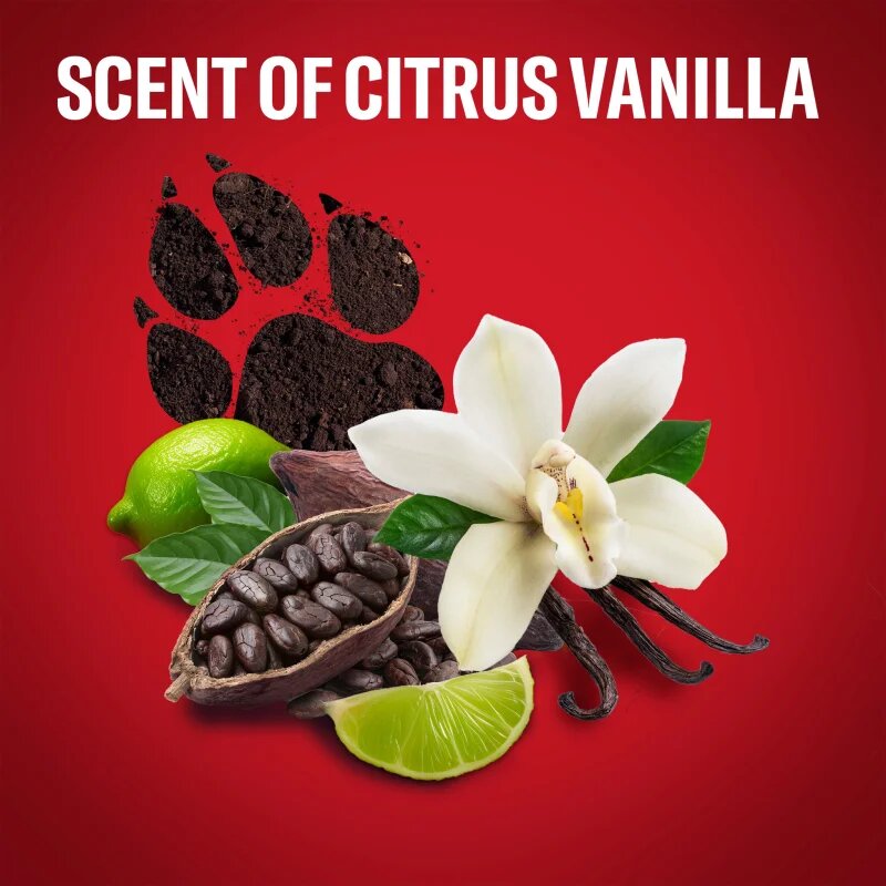 Old Spice Nightpanther Wild Explorer Set set cadou pentru barbati