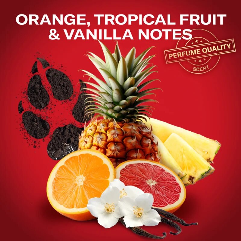 Old Spice Wolfthorn Gamer set cadou