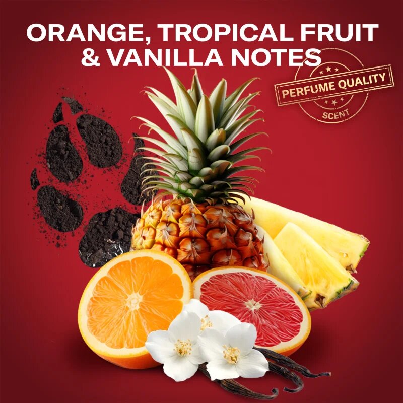 Old Spice Wolfthorn Gamer set cadou pentru barbati