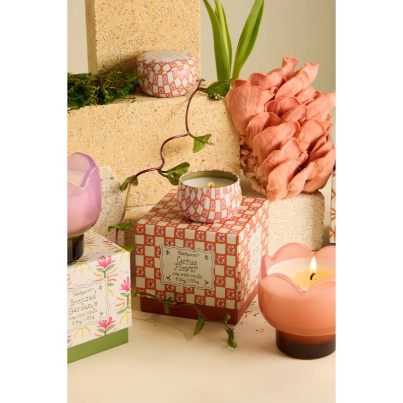 Paddywax Tulip Cactus Flower lumânare parfumată 155 g