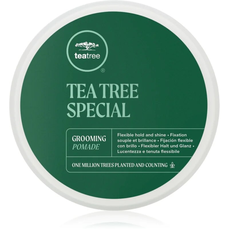 Paul Mitchell Tea Tree Special Grooming Pomade alifie pentru par pentru definire si modelare 85 g