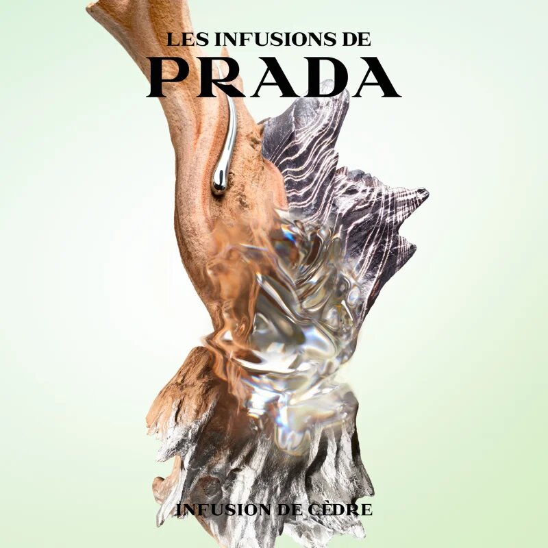 Prada Les Infusions: Infusion de Cedre Eau de Parfum unisex 100 ml