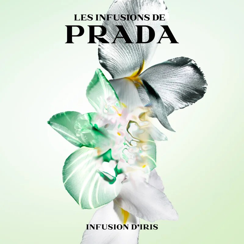 Prada Les Infusions: Infusion Iris Eau de Parfum unisex 100 ml