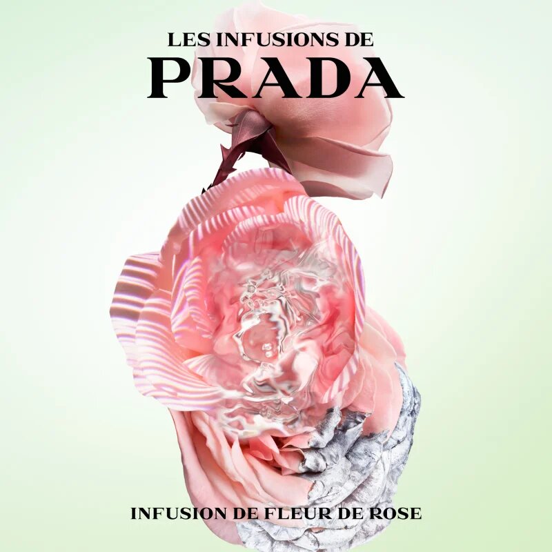 Prada Les Infusions: Infusion Rose Eau de Parfum unisex 100 ml