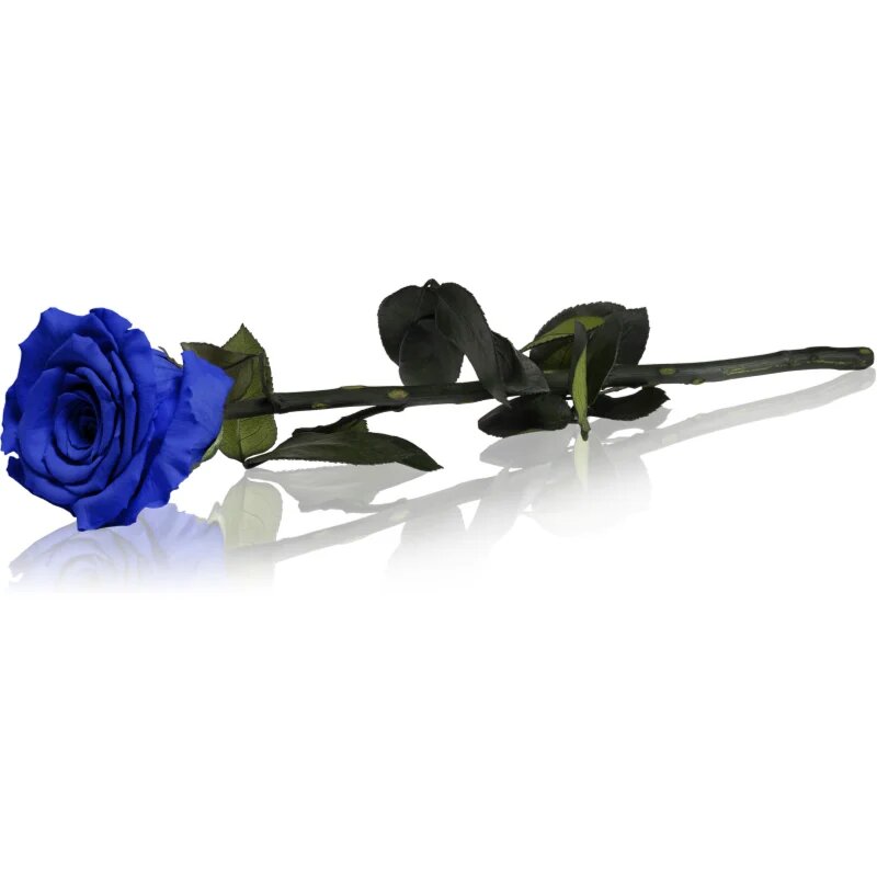 RoseAmor Blue trandafir stabilizat pe tulpină 1 buc