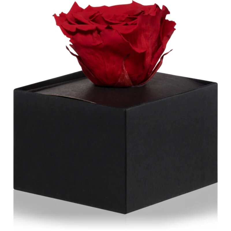 RoseAmor Red trandafir stabilizat în cutie 1 buc