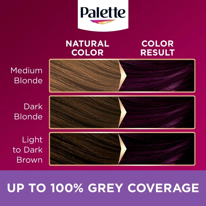 Schwarzkopf Palette Deluxe Culoare permanenta pentru par culoare 4-99 Aubergine 1 buc