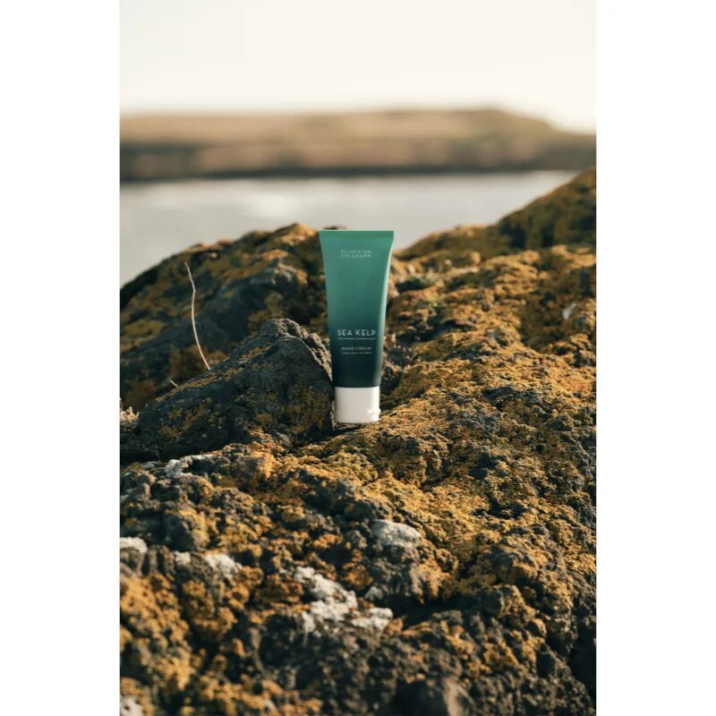 Scottish Fine Soaps Sea Kelp crema de maini 75 ml