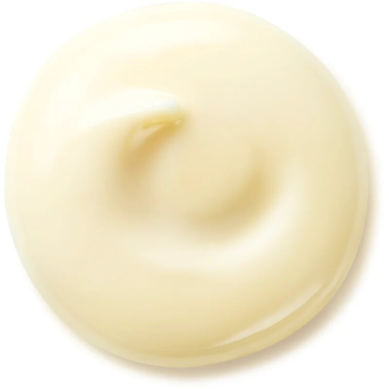 Shiseido Benefiance Wrinkle Smoothing Day Cream crema de zi anti-rid SPF 25 50 ml