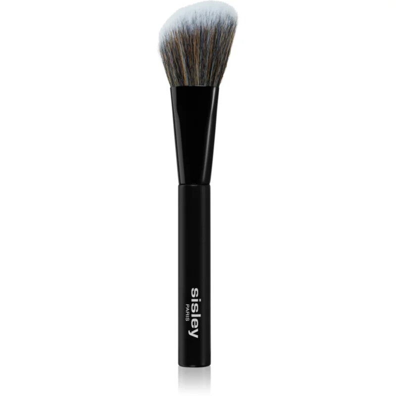 Sisley Accessories Phyto-Lip Delight pensula pentru aplicare fard obraz 1 buc