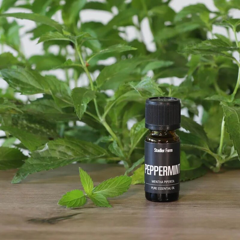 Stadler Form Peppermint ulei esențial 10 ml