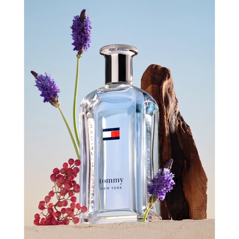 Tommy Hilfiger NEW YORK Eau de Toilette pentru bărbați 100 ml