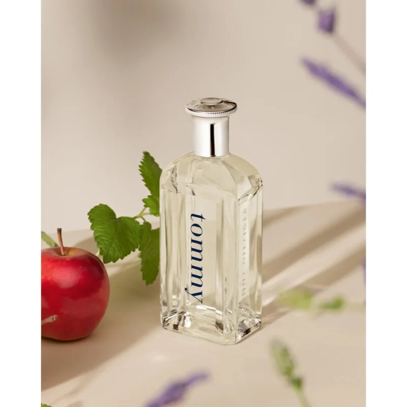 Tommy Hilfiger Tommy Eau de Toilette pentru bărbați 100 ml