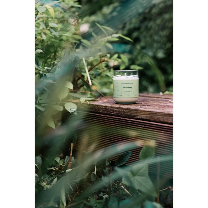 Tropicandle Forest Wood lumânare parfumată 170 ml